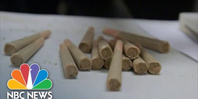 California Cannabis Businesses Fear State’s Legal Industry Could Collapse