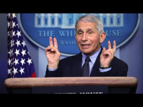 Fauci funded ‘bat-human interface’ research in China to avoid an outbreak in the US