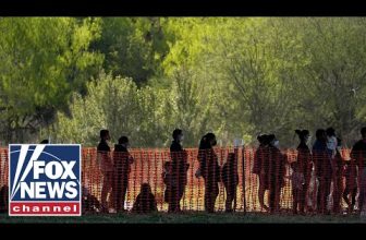 Flights for illegal immigrants cost taxpayers $340 million