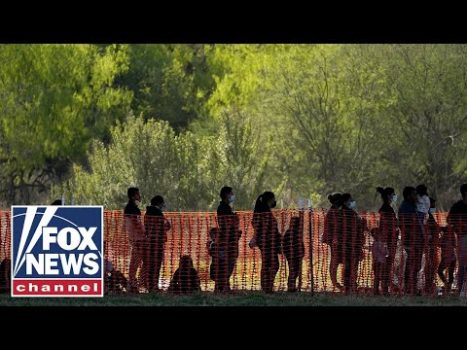 Flights for illegal immigrants cost taxpayers $340 million