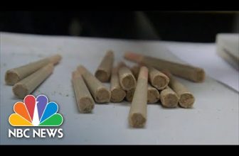 California Cannabis Businesses Fear State’s Legal Industry Could Collapse