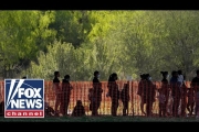Flights for illegal immigrants cost taxpayers $340 million