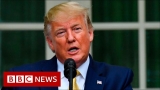US census 2020: Will Trump’s citizenship data order work? – BBC News