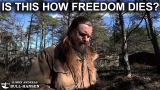 Coronavirus/covid-19: Is this how freedom dies?