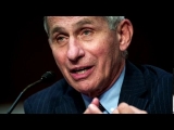 Fauci calls White House attacks on him ‘bizarre’
